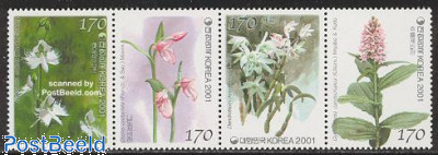 Orchids 4v [:::]