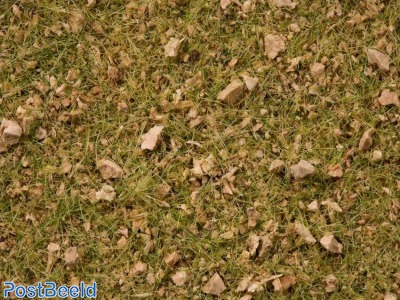 Master Grass Blend ~ Alpine Meadow 2,5 - 6mm (50g)