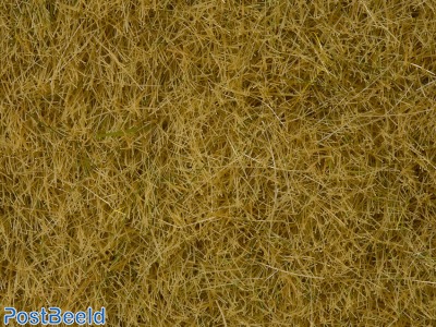 Wild Grass ~ Beige 6mm (50g)