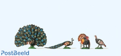 Turkey and Peacock