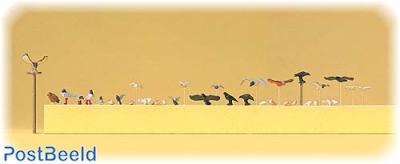 Birds (pigeons, gulls, crow, birds of prey)