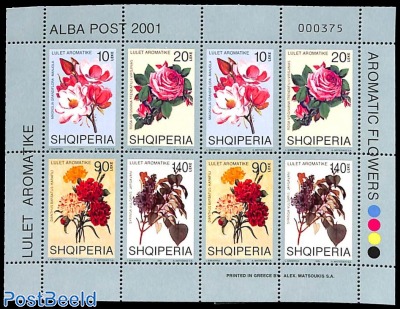 Flowers m/s