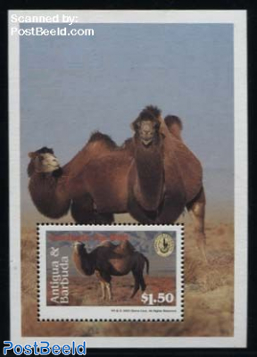 Bactrian Camel s/s