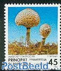 Mushroom, Macrolepiota Procera 1v