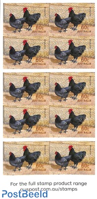 Poultry breeds booklet s-a