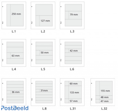 Davo folders Assorted L (per 10)