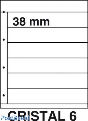 Kosmos Stockpages Cristal 6 (per 5)