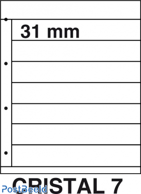 Kosmos Stockpages Cristal 7 (per 5)