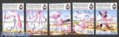 National trust, Flamingo's 5v