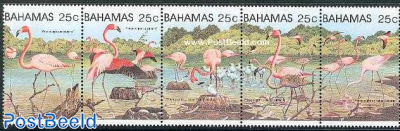 Flamingoes 5v [::::]