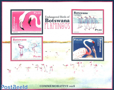 Flamingos 4v m/s