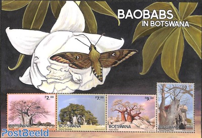Baobabs s/s