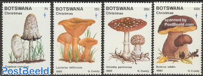 Christmas, mushrooms 4v