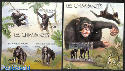 Chimpansees  2 s/s, imperforated