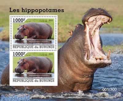 Hippos