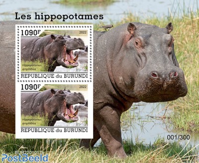 Hippos