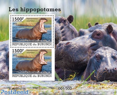 Hippos