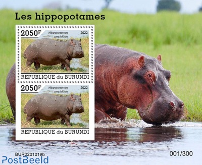 Hippos