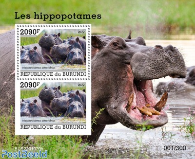 Hippos