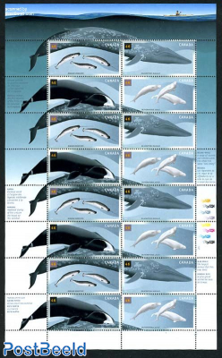 WHALES MINISHEET