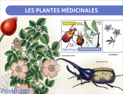 Medical plants