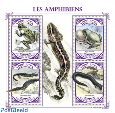 Amphibians