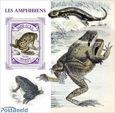 Amphibians