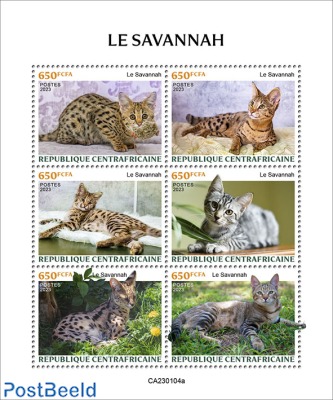 Savannah cat