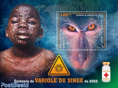 Monkeypox outbreak 2022