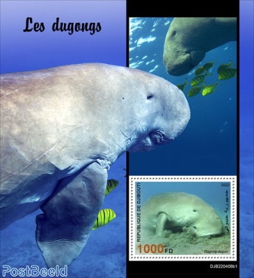Dugongs