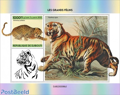 Big cats (Acinonyx jubatus) Background info: Panthera tigris [s/s 1000FD]