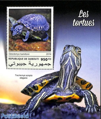 Turtles s/s