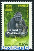 UNESCO, Gorilla 1v