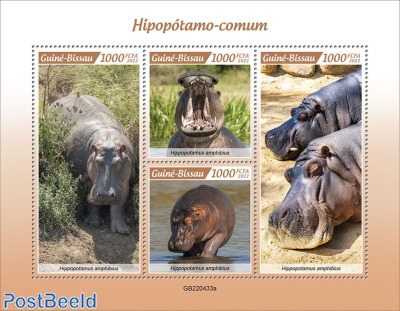 Hippos