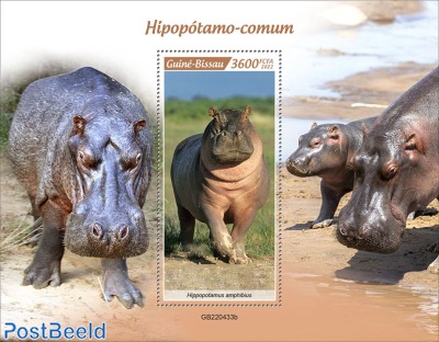 Hippos