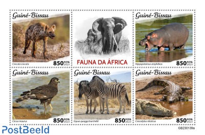 African fauna