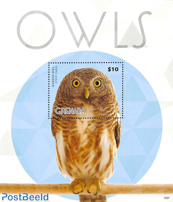 Barred owl s/s