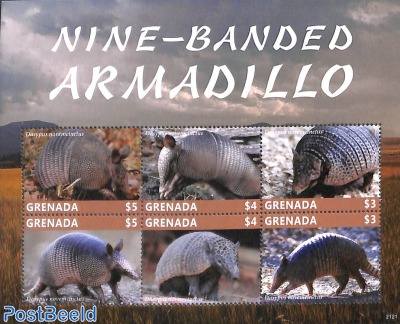Nine-Banded Armadillo 6v m/s