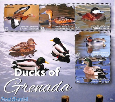 Ducks of Grenada 4v m/s