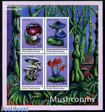 Mushrooms 4v m/s, Russula xerampelina