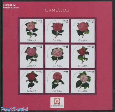 Camellias , Stamp expo 9v m/s