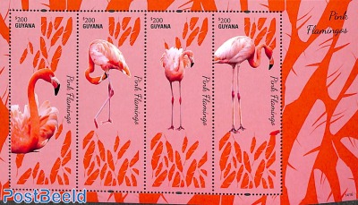 Flamingos 4v m/s