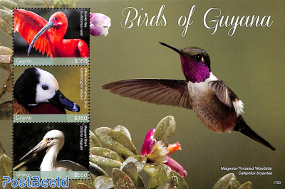 Birds of Guyana 3v m/s