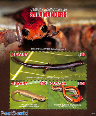 Salamanders 3v m/s