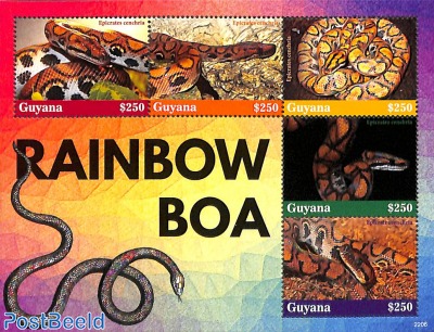 Rainbow boa 5v m/s