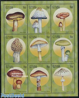 Mushrooms 9v m/s, Boletus Aereus