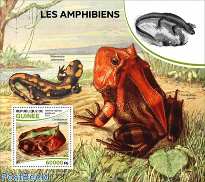 Amphibians