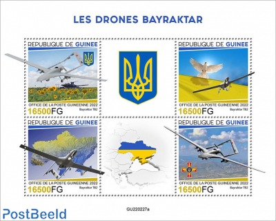 Bayraktar drones
