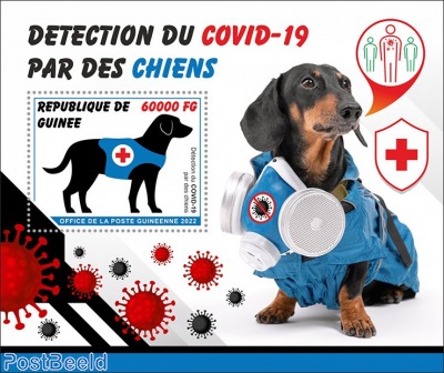 Detection of Covid-19 by dogs