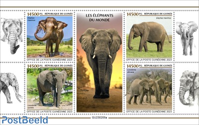 Elephants of the World
